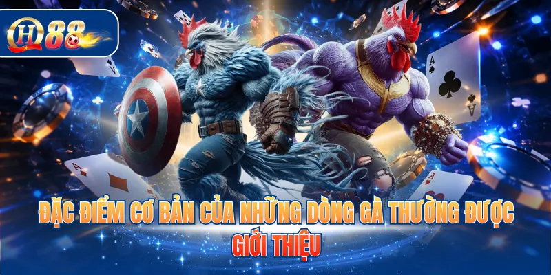 Đặc điểm cơ bản của những dòng gà thường được giới thiệu