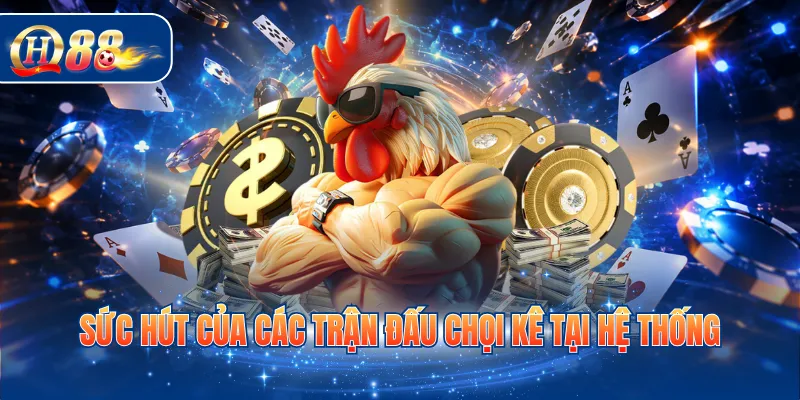 Sức hút của các trận đấu chọi kê tại hệ thống