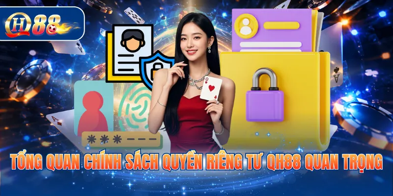 Tổng quan chính sách quyền riêng tư QH88 quan trọng